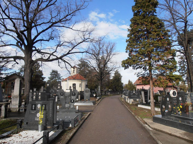 НОВИ ДЕТАЉИ УЖАСА НА КРУШЕВАЧКОМ ГРОБЉУ: Због љубоморе малтретирала девојчицу (13), веровала да се виђа са њеним дечком